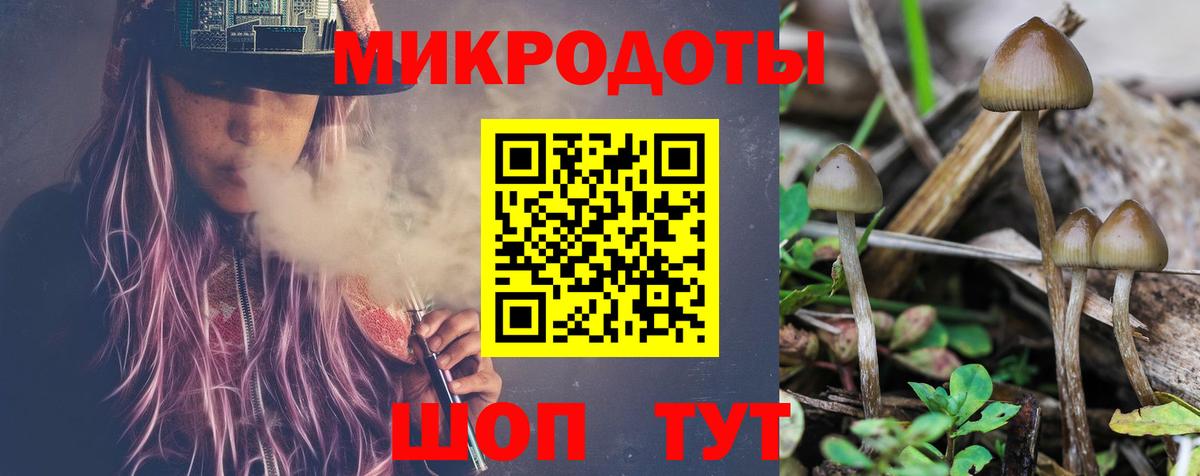 Богородицк  Псилоцибиновые грибы GOLDEN TEACHER  Вход с VPN 